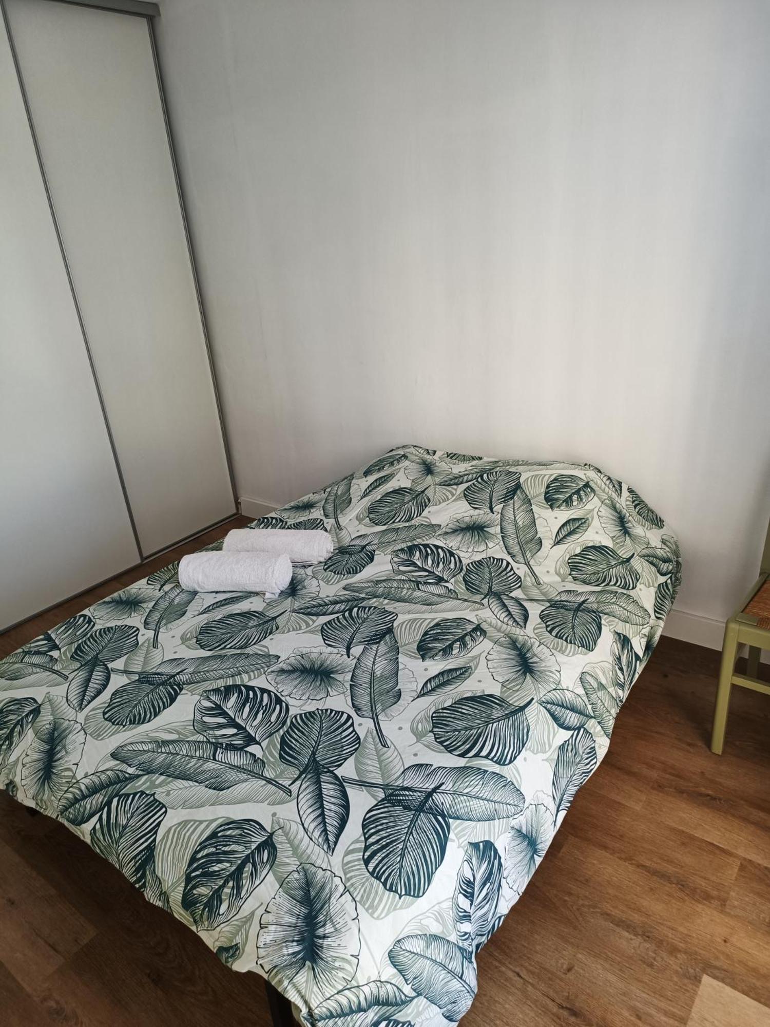 Appartement Proche Centre Ville / 3 Chambres Perpignan Buitenkant foto